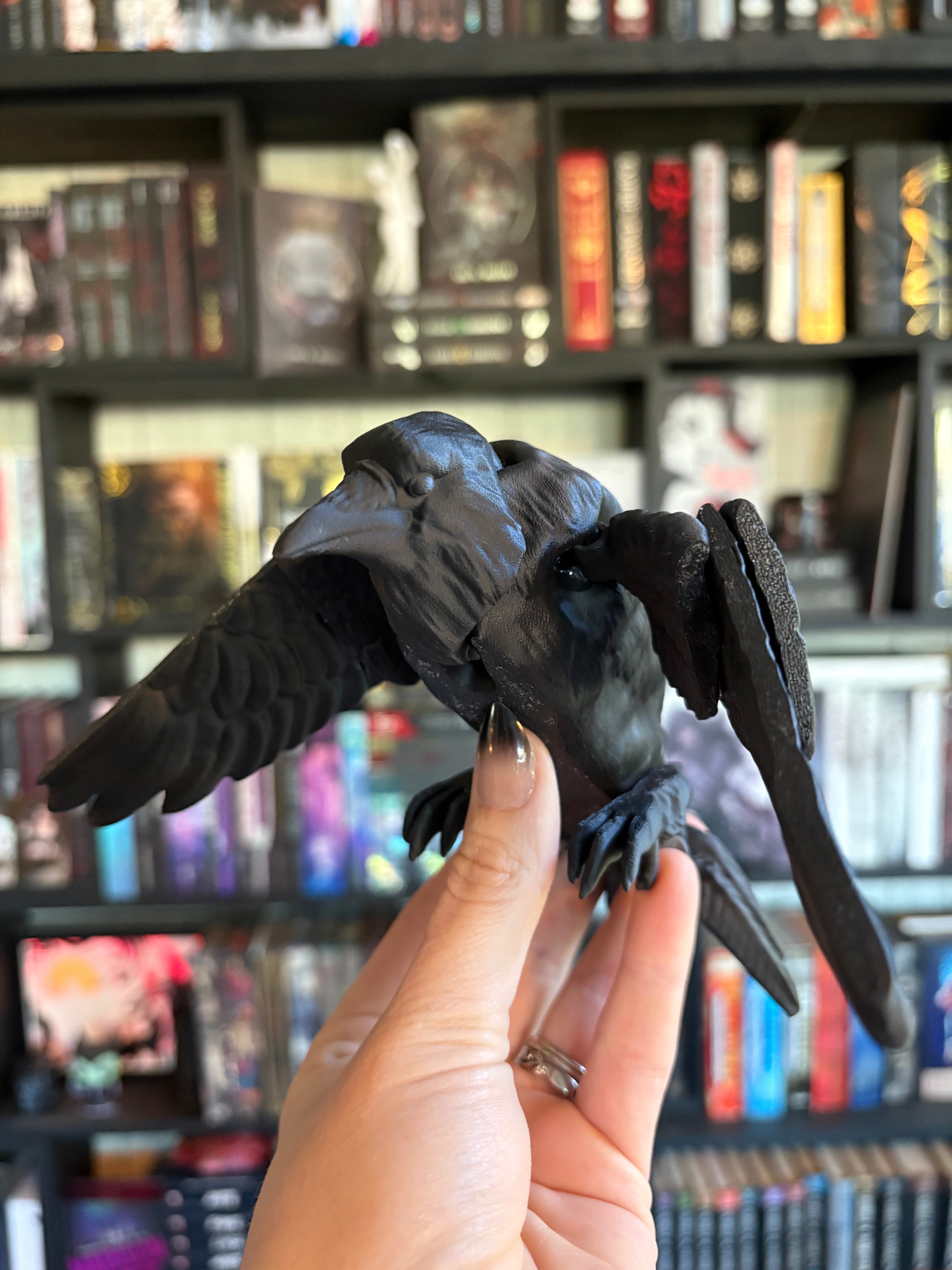 Articulate Crow/Raven