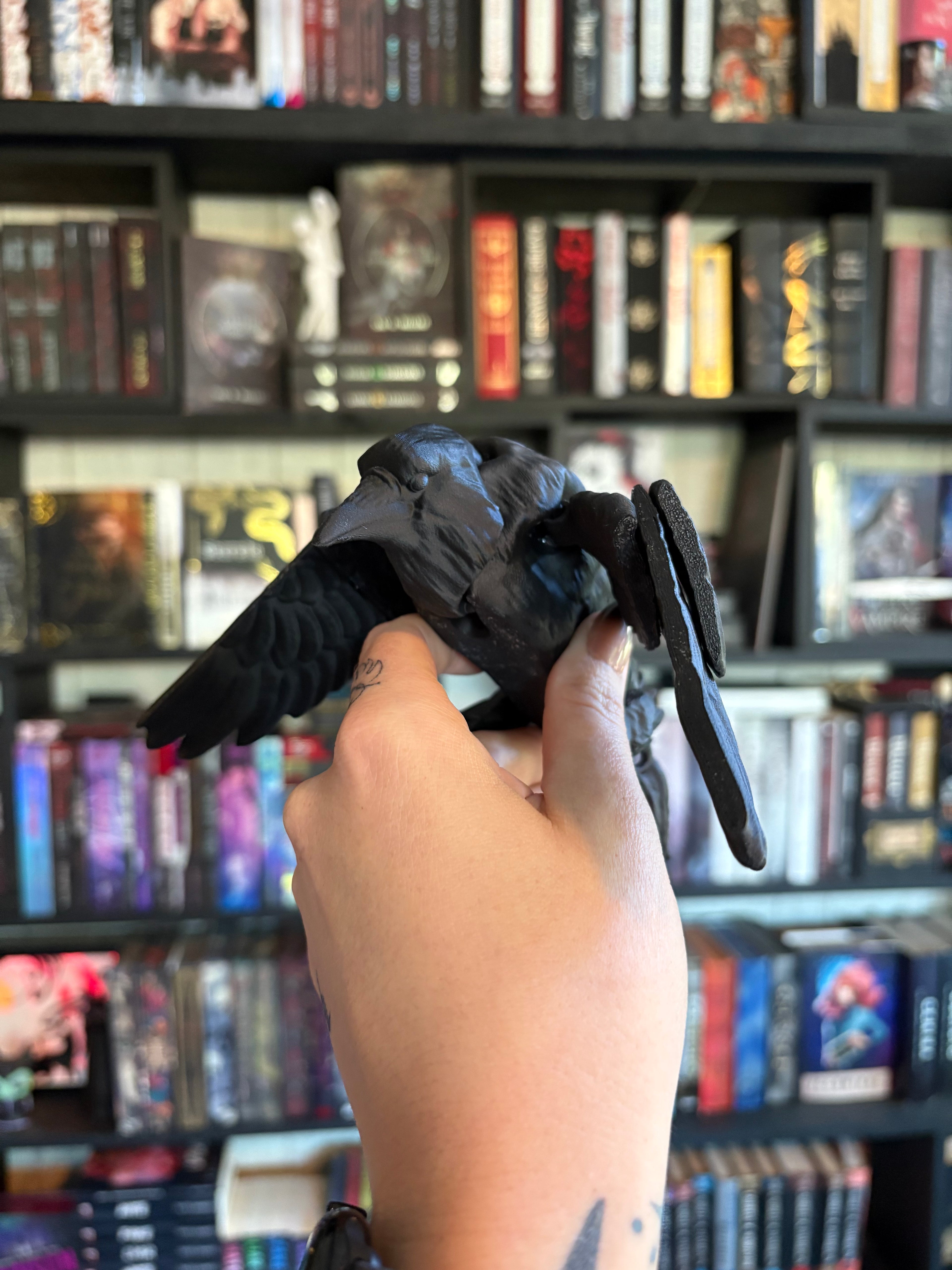Articulate Crow/Raven